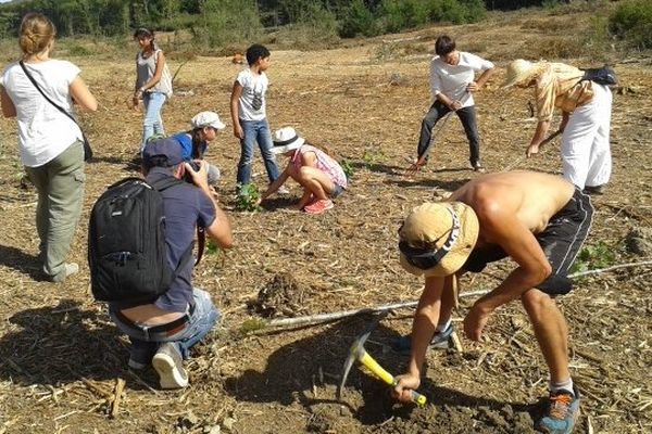 Des opposants au barrage de Sivens replantent des plants d'arbre pour symboliquement reboiser la zone humide