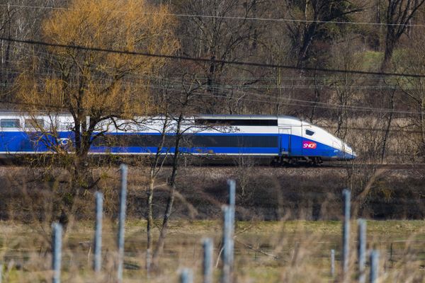 Un TGV à destination des stations de ski des Alpes, en Savoie, le 22 février 2020.