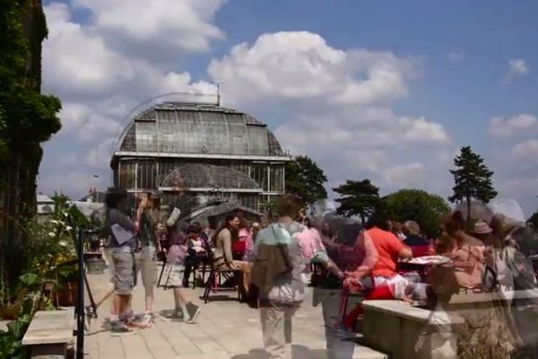 Le temps d'un arrêt au Jardin des Plantes et ailleurs