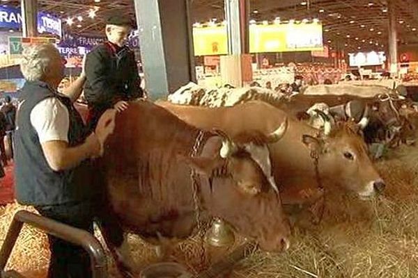 Paris - le monde agricole se montre - mars 2016.