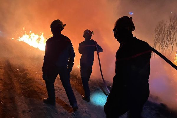 Incendie : pompier intervenant sur feu de végétation. Photo disponible. Légende à contextualiser.