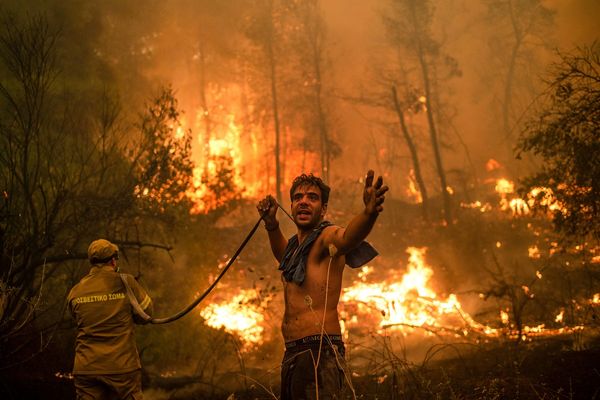 Incendie en Grèce, le 8 août 2021.