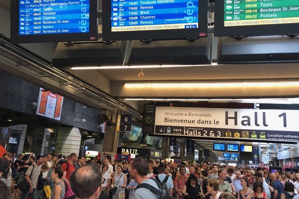 Un accident entre un TGV et un chevreuil a provoqué de nombreux retards en gare Montparnasse.