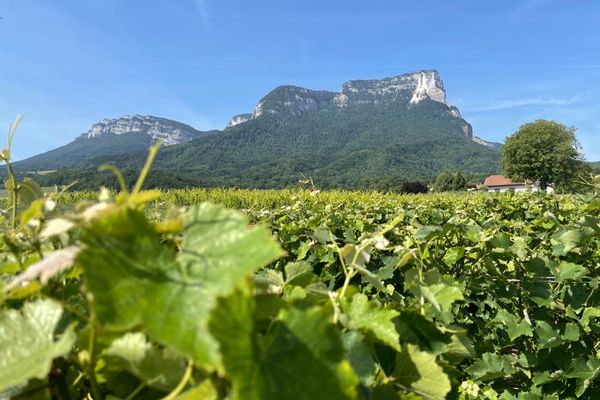 Une partie du mont Granier menace de s'écrouler, cinq ans après un éboulement impressionnant qui avait éventré la falaise.