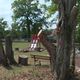 Le Poney Parc de Blodelsheim fermé jusqu'à la sécurisation du site accueillant du public. L'ONF entend réaliser des opérations d'abattage ou d'élagage avant de consentir à la levée de l'arrêté de fermeture pris par la mairie