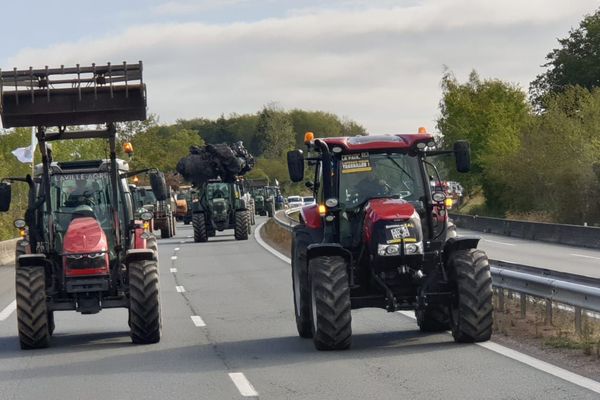 Plus de 150 agriculteurs mobilisés en Limousin 