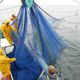 Des marins du senneur "Karnedevenn" retirent de l'eau leur senne (filet), durant une sortie en pêche à la sardine le 19 juin 2003 au large de Quiberon. Image d'illustration.