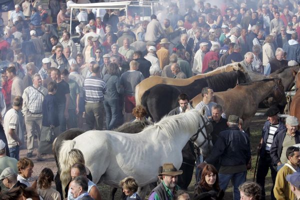 La foire millénaire de la Sainte-Croix de Lessay dans la Manche