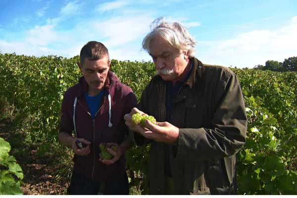 Jean-Bernard Métais, artiste sculpteur et vigneron