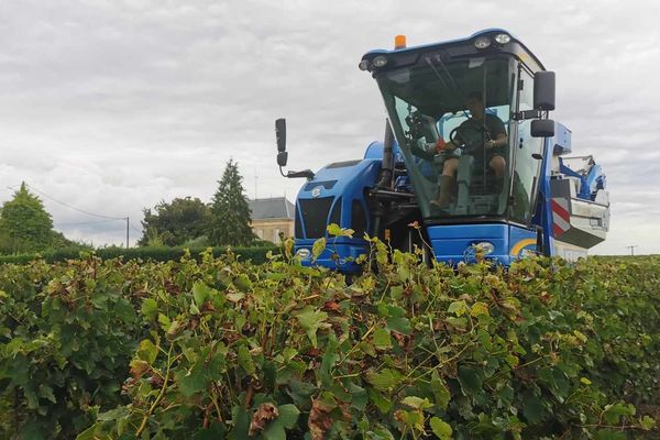 Une machine à vendanger en Côtes de Bourg