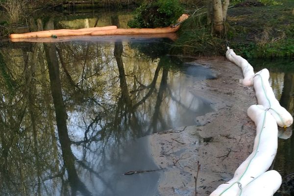 Dispositif pour empêcher la pollution aux hydrocarbures de s'étendre sur l'ensemble de  la rivière Loeuf à Estouy