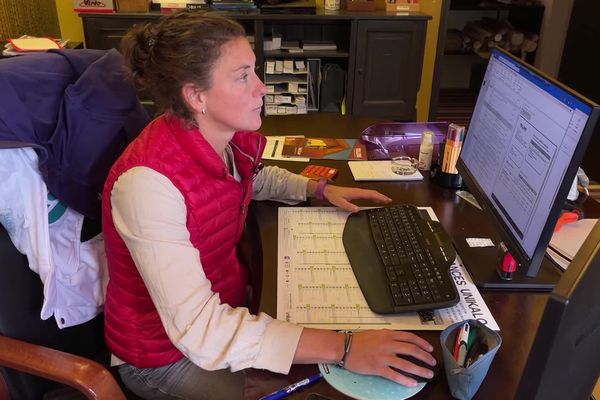 Louise Guillet passe des psicines de waterpolo aux écrans de bureaux : après une carrière de plus de 20 ans dans le sport de haut niveau, la jeune femme de 38 ans représente la 10ème génération de l'entreprise Guillet Peintures.