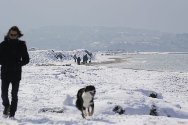 Illustration des chutes de neige sur le département du Var. Plage de l'Almanarre sur la presqu’île de Giens.