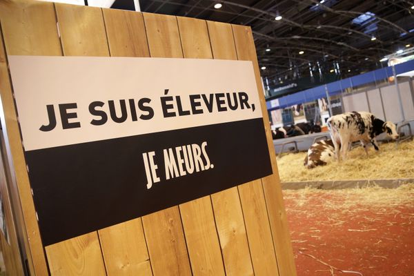 Prévention du risque de suicide chez les agriculteurs