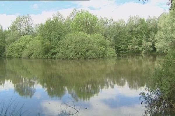 Le marais de Saône, près de Besançon