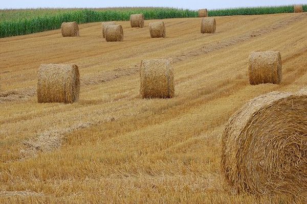 Les vols dans les fermes sont plus nombreux l'été car le matériel agricole est souvent bien plus exposé