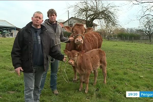 Thierry, Ludovic, Image et Olympe s'apprêtent à vivre l'aventure de leur vie : un voyage à Paris pour jouer les stars du salon de l'agriculture