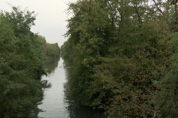 Ce tronçon du canal du Rhône au Rhin entre Artzenheim et Friesenheim est abandonné depuis des décennies. La nature y a repris ses droits