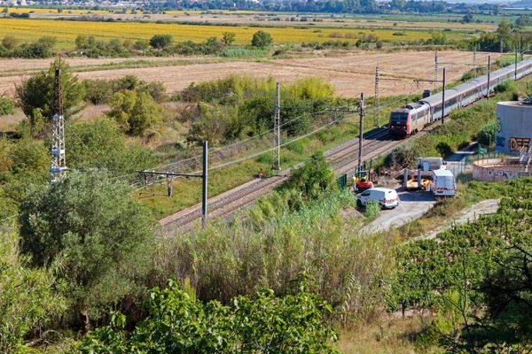 La compagnie ferroviaire a décidé d'interrompre totalement la circulation des trains sur plusieurs axes importants de la région.