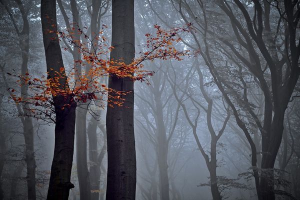 Brumes et brouillards à l'est de la Normandie