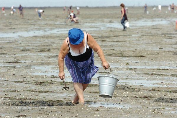 La pêche à pied au long du Gois à Fromentine (2006)