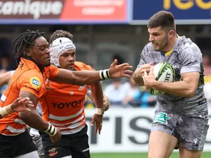 L'ASM reçoit les Sud-Africains des Cheetahs en huitième de finale de Challenge Cup