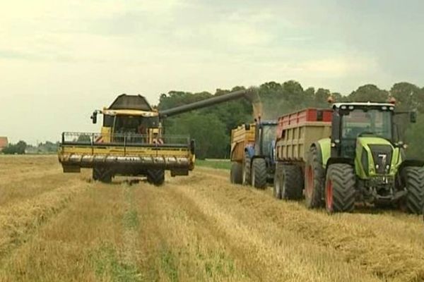 Les moissons auvergnates sont en retard. Conséquence des aléas de la météo. Quantité et qualité ne seront pas au rendez-vous cette année.