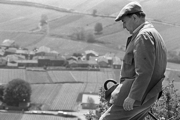 Le président de la République François Mitterrand en mai 1985, lors de son ascension annuelle de la Roche de Solutré, en Saône-et-Loire.