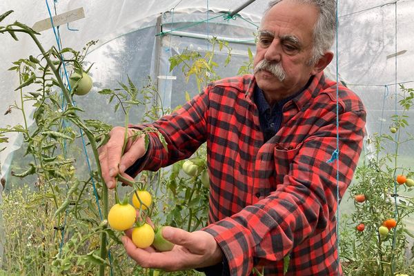 Dans son jardin de Saint-Bonnet-près-Orcival, dans le Puy-de-Dôme, Thierry cultive des légumes oubliés.