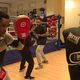 Cette année, 17 jeunes sont accompagnés par l'académie de boxe Alain Marion pour trouver un projet professionnel.