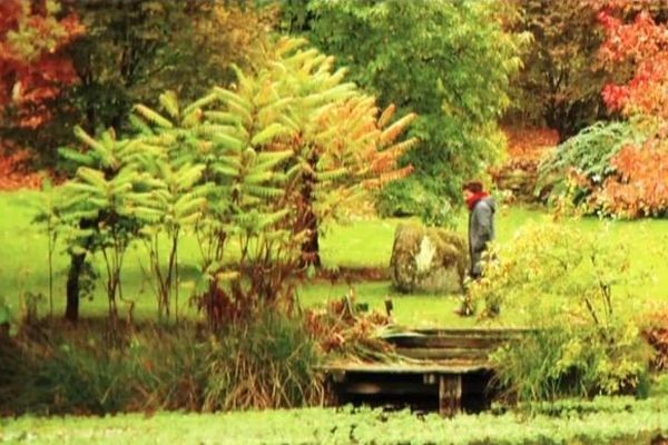 Arboretum de la Sédelle (capture d'écran)