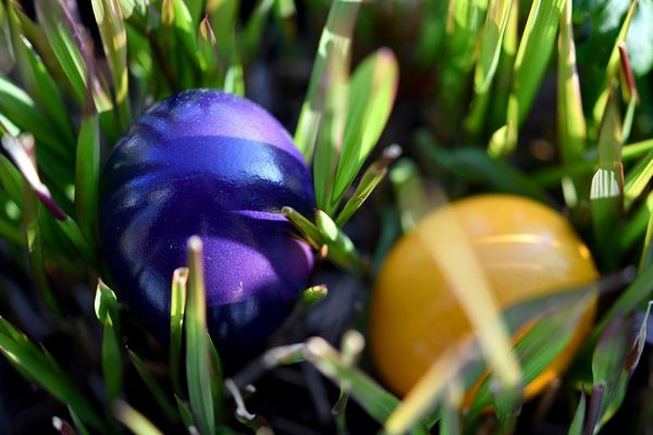 Des œufs en couleur pour se souvenir de cette Pâques 2020 confinée