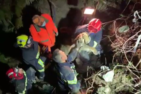 Les pompiers ont passé plusieurs heures à dégager l'accès au trou avant de pouvoir sortir le chien vers 19 heures. 