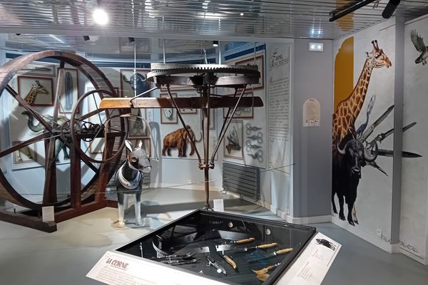 Le règne animal par le prisme de la coutellerie : l'objet de l'exposition organisée au musée de Nogent.