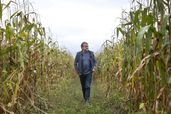 Paul François, agriculteur-céréalier, intoxiqué à l'herbicide Lasso en 2004 est un symbole de la lutte contre le géant Monsanto.