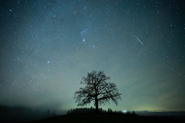L'événement astronomique de ce mois de décembre, le ciel nocturne devrait s’illuminer avec les météores des Géminides.