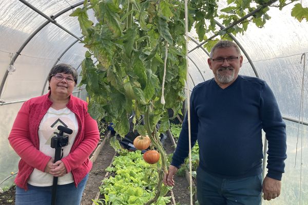 Lydie et Jacques réalisent des vidéos de jardinage chaque semaine