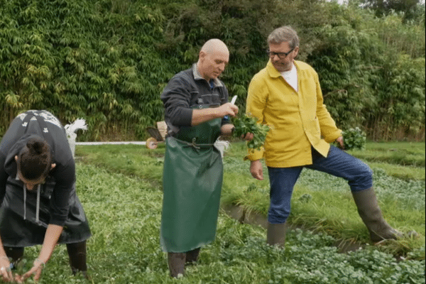 Yvan dans le champ de cresson de Mickaël avec salarié Théo (à gauche)