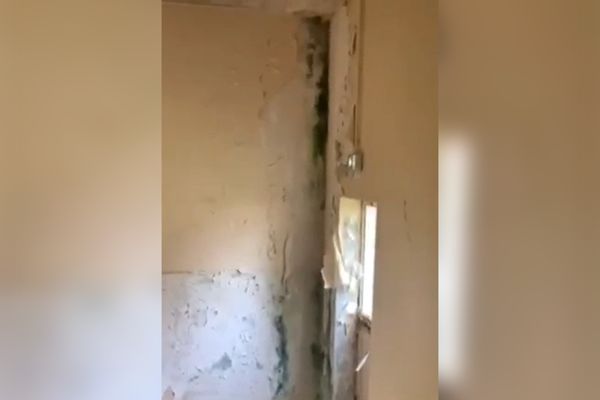 Depuis le début de l'année scolaire, un champignon infecte les murs d'un bâtiment du lycée professionnel Charles de Bovelles à Noyon dans l'Oise.