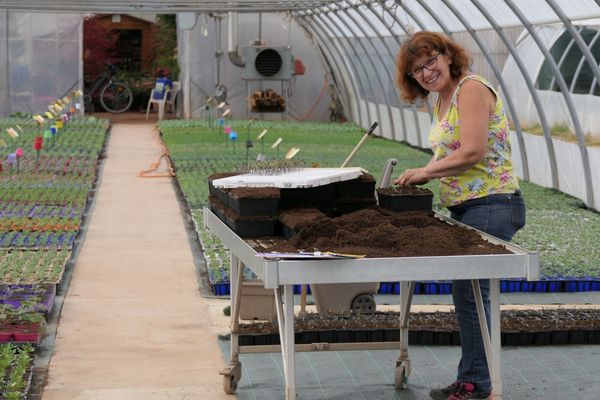 Françoise Chatagnier, horticultrice à Beaubery, en Saône-et-Loire