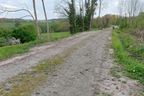 L'aménagement de la voie verte de la Véloscénie, dans l'Orne, est au cœur d'une procédure judiciaire opposant le Conseil départemental à un collectif d'associations de défense de l'environnement.