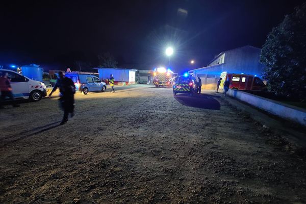 13 juillet 2022. Un départ de feu dans un entrepôt du zoo de Plaisance-du-Touch (Haute-Garonne) a conduit les pompiers au sauvetage d'animaux.