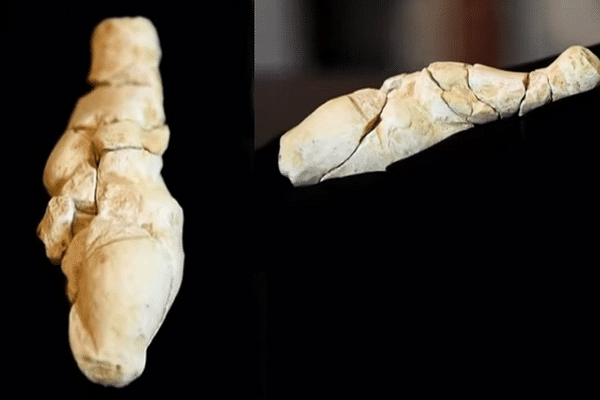 Les 20 fragments découverts ont été rassemblés, mais la statuette, représentation de la Femme, n'est pas encore complète.