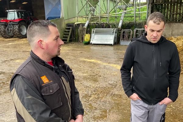 Benjamin (gauche) et Damien, deux jeunes éleveurs de vaches laitières dans le Morbihan