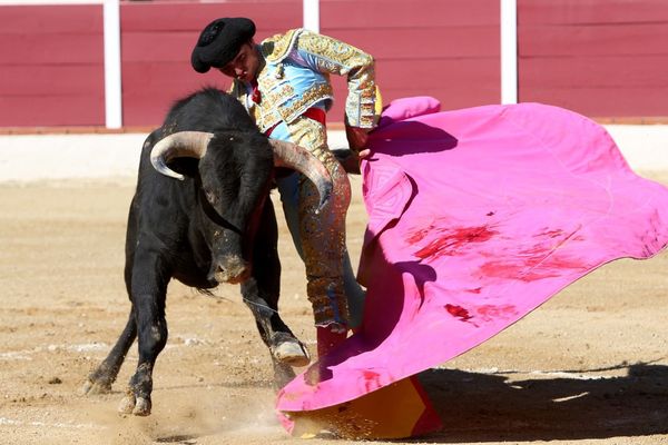 Garlin, 9 avril 2007. Jorge Isiegas, une des rares satisfactions de la novillada.