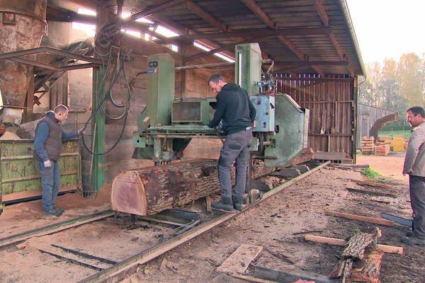 Ce sont des chênes de Normandie qui sont coupés sur toute la longueur