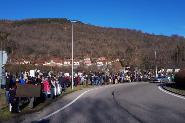 300 personnes mobilisées pour défendre le lynx dans les Vosges