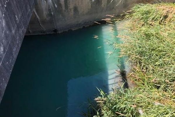 La Tanche a pris des couleurs verte et bleue inhabituelles et significatives d'une pollution aux métaux lourds.