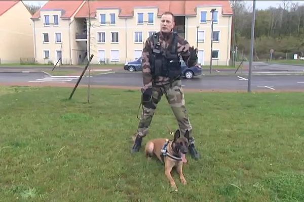 Les chiens sont des animaux importants dans l'activité des forces de sécurité