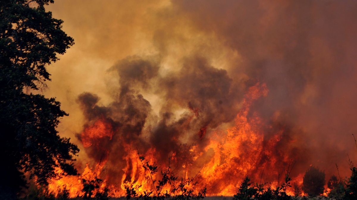 Faut Il Craindre Un Mega Incendie Dans La Foret Des Landes De Gascogne